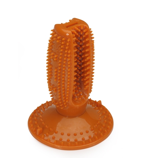 צעצוע ואקום הנידבק לריצפה - קמון