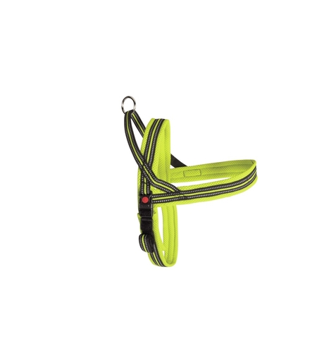 ריתמה דינמיק פלוס 50 ס