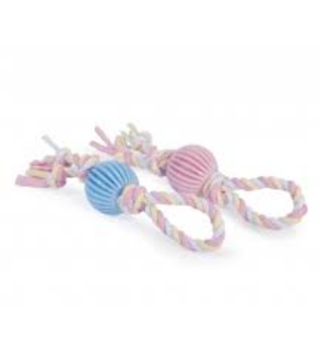 נשכן גורים וכלבים קטנים 