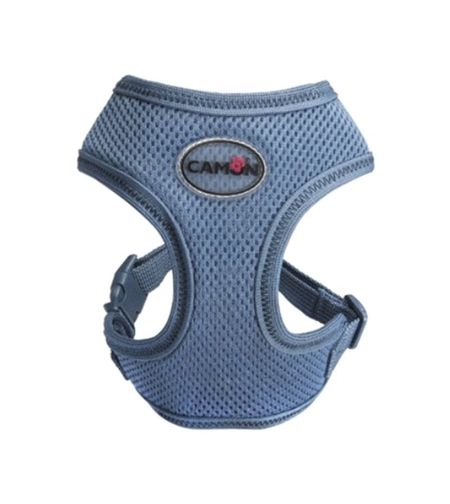 ריתמה תכלת לכלבים קטנים