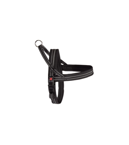 ריתמה דינמיק פלוס 50 ס