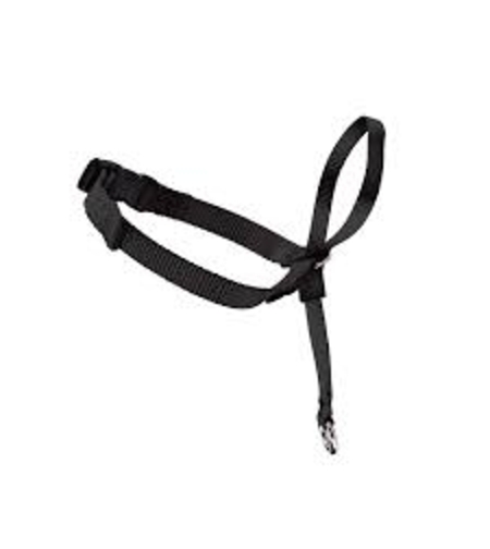 האלטי נגד משיכות M