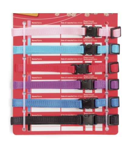 קולר לחתול- עם פתיחה מאובטחת