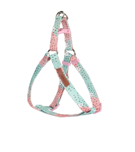 ריתמה לכלב ורוד תכלת עם נקודות 