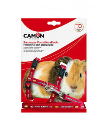 ריתמה לשרקן