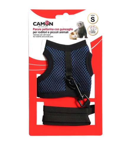 ריתמה למכרסמים