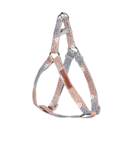 ריתמה לכלב אפור חום עם נקודות