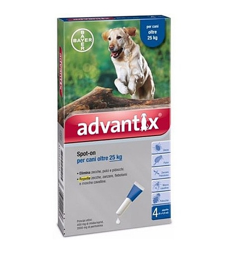 אדוונטיקס לכלבים מעל 25 ק