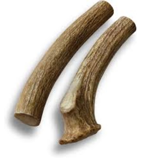 קרן אייל שלמה 200-220 גרם 20-25 ס