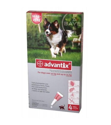 אדוונטיקס לכלבים במשקל 10 עד 25 ק