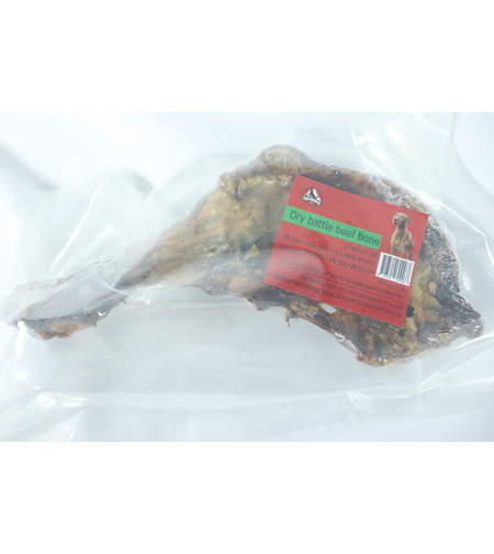 קרניבור עצם כתף