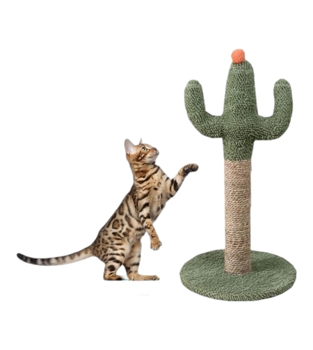 מגרדת קקטוס מעוצבת לחתול - 60 ס