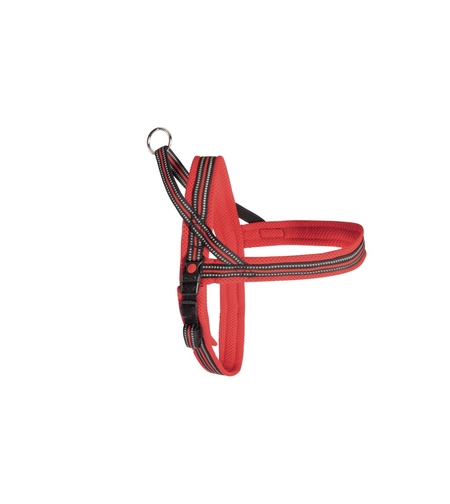 ריתמה דינמיק פלוס 50 ס