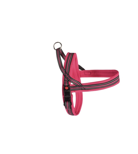 ריתמה דינמיק פלוס 50 ס