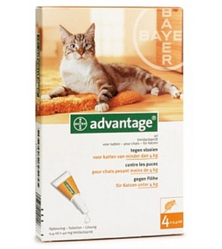 אדוונטג' חתול עד 4 קילו 