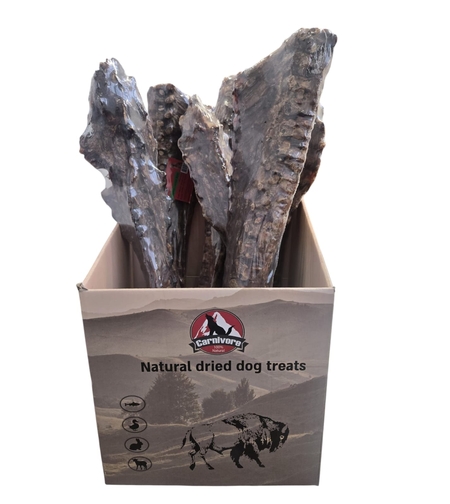 קרניבור - עצם עמוד שידרה 60 ס