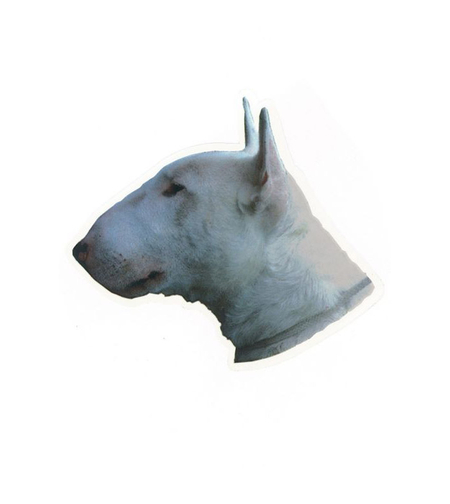 זוג מדבקות לרכב- בולטרייר