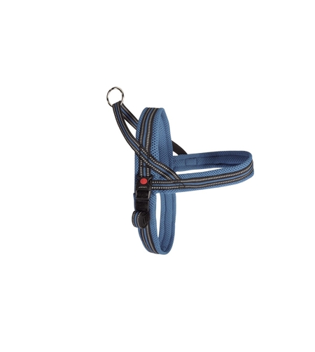 ריתמה דינמיק פלוס 50 ס