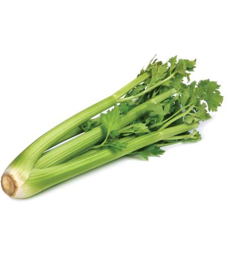 Celery