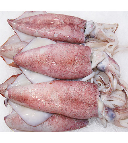 seafood express- Squid - 1000g