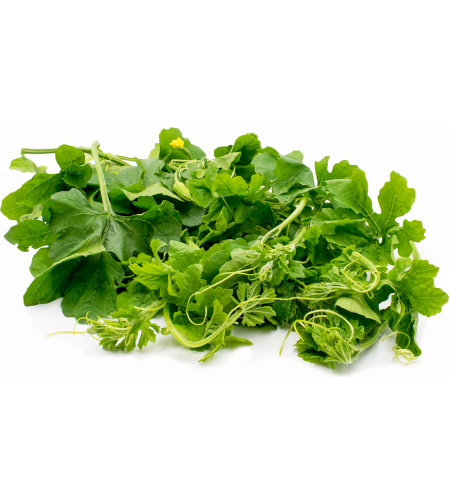 Ampalaya Leaves Pack
