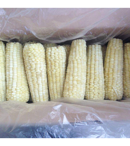Barili - White Corn