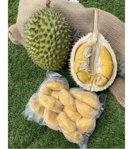 Barili - Durian without seeds 