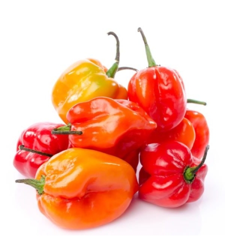 Habanero Chili half kilo