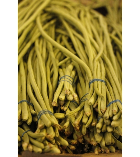 Long Bean Pack - Sitaw Pack 1pc