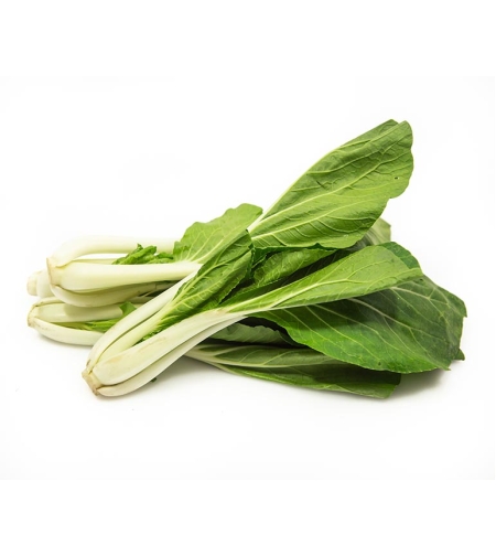 Pechay - Chinese chard Bok choy Pack