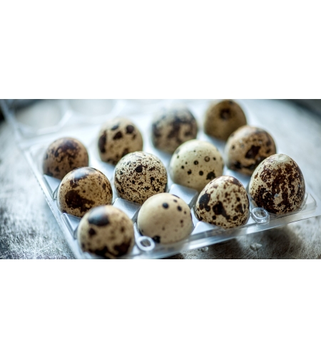 Tray of Quail Eggs