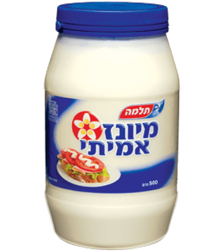 Telma - Real Mayonnaise 500g