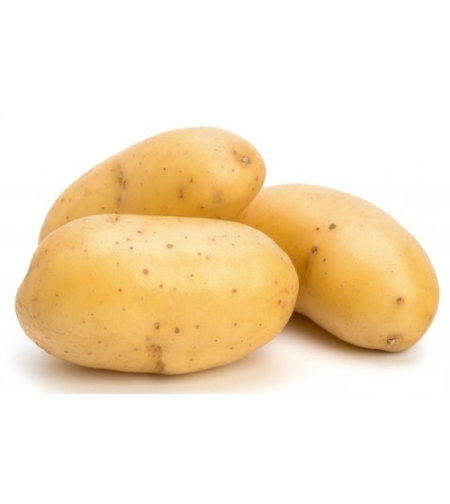 Potato 1 kilo