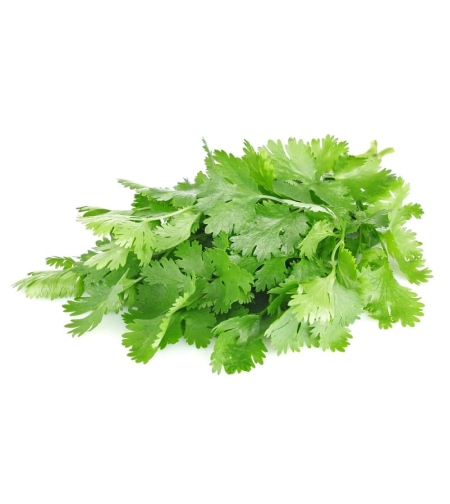 Coriander Leaves Pack