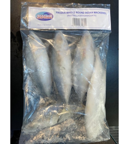 Seafood Express - Frozen Whole Round Indian Mackerel 800g