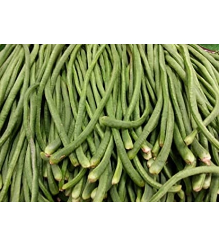 Long Bean - Sitaw kilo