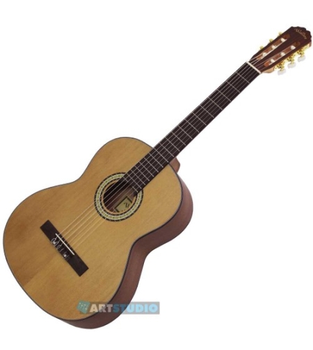 גיטרה קלאסית N460