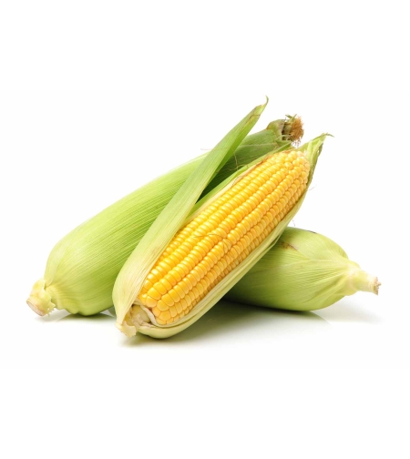 תירס (אריזה)