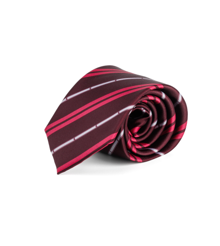 עניבה מודפסת דגם 2020