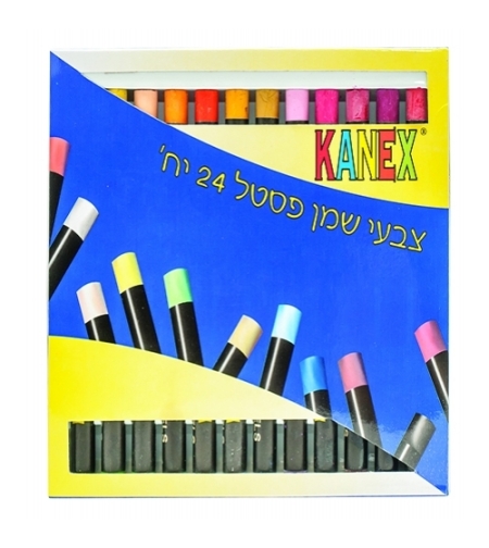 צבעי פנדה 1/24