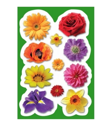 גזירות פרחים מקרטון 1/18 GL