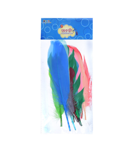 נוצות צבעוניות גדולות 1/12