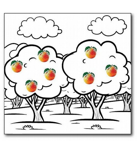 ערכת יצירה פרדס תפוזים - פרדס לצביעה + מדבקות תפוזים 36 יח'