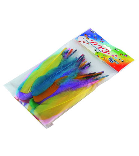 12 נוצות צבעוניות ארוכות