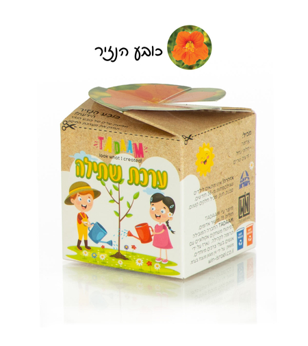 ערכת שתילה פרחים