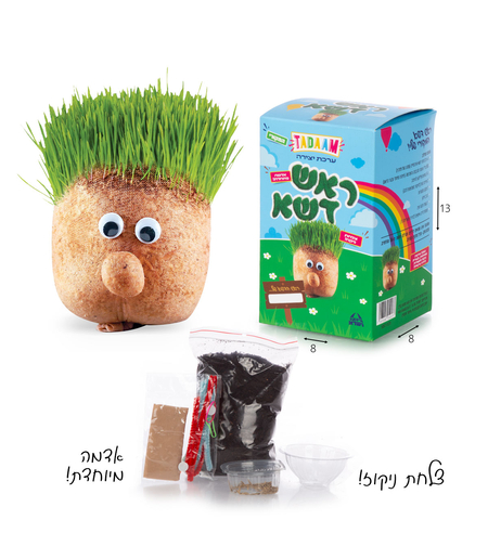 ערכת ראש דשא