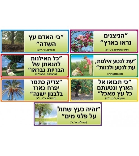 ערכת פתגמים לט