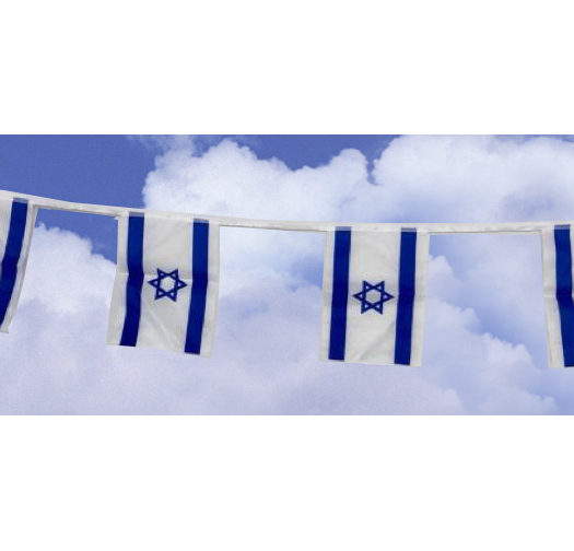 שרשרת דגלי לאום 30/40 50 מטר