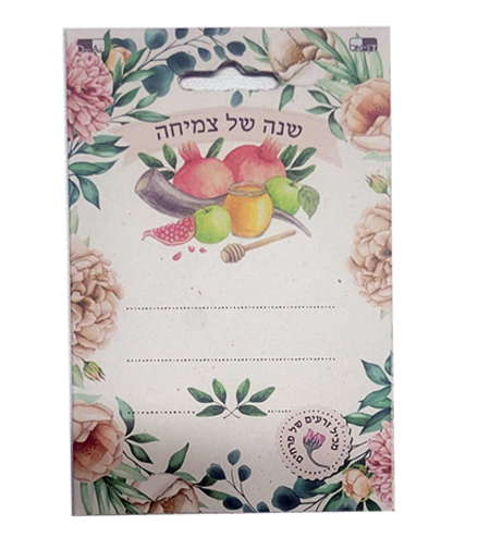 זרעים שנה של צמיחה