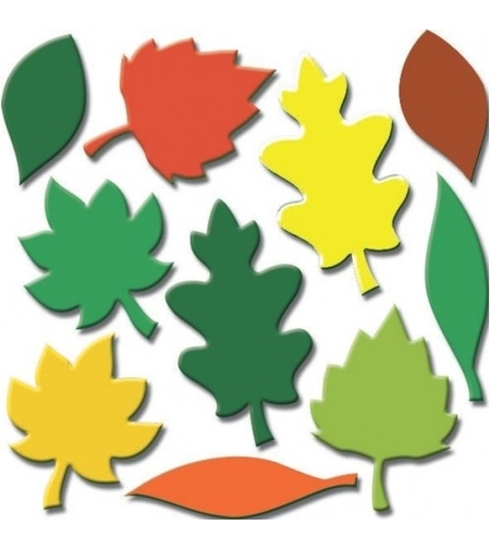 גזירות סול עלים בשלכת